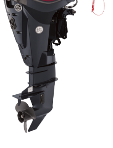 Evinrude E-TEC 25 HP Outboard Motor