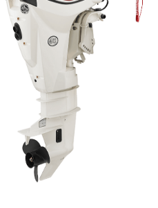 Evinrude E-TEC 30 HP Outboard Motor