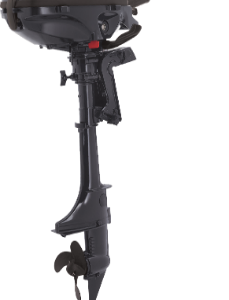 Evinrude E-TEC 3.5 HP Outboard Motor