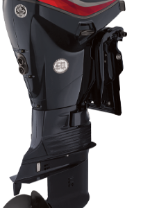 Evinrude E-TEC 50 HP Outboard Motor
